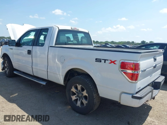 2013 Ford F-150 XL with VIN 1FTFX1CF7DFB51755, listed as a IAAI auction lot 42647291 with Not provided miles and . Bid and sale history available at DreamBid. Image 3.