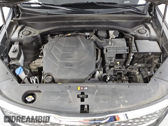 2021 Kia Telluride LX with VIN 5XYP24HC5MG104093, listed as a Copart auction lot 48163265 with 90,302 mi miles and Clean title. Bid and sale history available at DreamBid. Image 11.