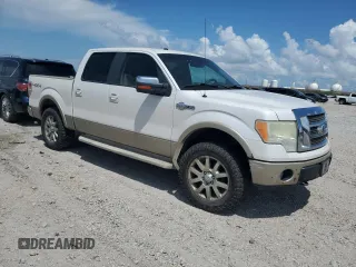 2010 Ford F-150 XL with VIN 1FTFW1EV5AKB58746, listed as a Copart auction lot 60144085 with Not provided miles and Salvage title. Bid and sale history available at DreamBid. Image 4.