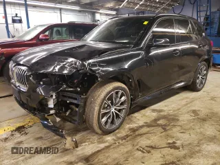 2019 BMW X5 xDrive50i with VIN 5UXJU2C55KLN67350, listed as a Copart auction lot 73114672 with 18,704 mi miles. Bid and sale history available at carsss.com. Image 1.