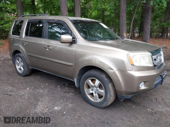 2009 Honda Pilot EX with VIN 5FNYF48409B041002, listed as a IAAI auction lot 42252034 with 116,938 mi miles and . Bid and sale history available at DreamBid. Image 1.