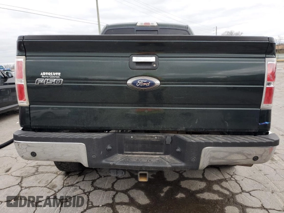 2014 Ford F-150 XL with VIN 1FTFX1ET9EFB82879, listed as a Copart auction lot 49855315 with 142,217 mi miles and Salvage title. Bid and sale history available at DreamBid. Image 6.