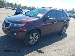 2012 Kia Sorento EX with VIN 5XYKU3A65CG299100, listed as a IAAI auction lot 42098445 with 172,203 mi miles. Bid and sale history available at carsss.com. Image 19.