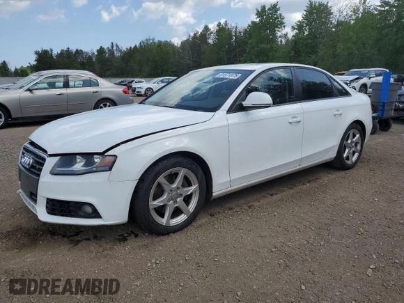 2009 Audi A4 with VIN WAULF68K59N025039, listed as a Copart auction lot 61571575 with Not provided miles and Salvage title. Bid and sale history available at DreamBid. Image 1.