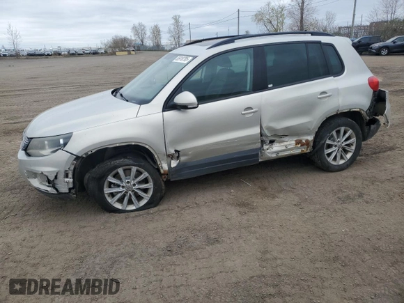 2013 Volkswagen Tiguan S with VIN WVGJV3AX0DW561431, listed as a Copart auction lot 55918795 with 246,907 mi miles and Salvage title. Bid and sale history available at DreamBid. Image 1.