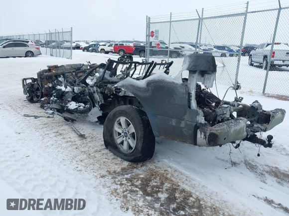 2018 Ford F-150 XL z VIN 1FTEW1EG9JKE25982, wystawiony jako IAAI lot #41562922 z przebiegiem Nie podano mil oraz . Historia ofert i sprzedaży dostępna na DreamBid. Obrazek 3.