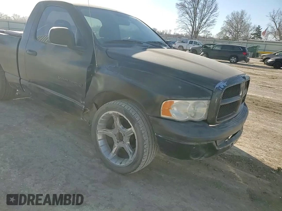 2002 Dodge 1500 with VIN 1D7HA16K42J244560, listed as a Copart auction lot 48218505 with 218,303 mi miles and Salvage Title. Bid and sale history available at DreamBid. Image 11.