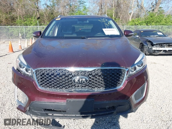 2017 Kia Sorento LX with VIN 5XYPG4A37HG255017, listed as a IAAI auction lot 42090967 with 122,021 mi miles. Bid and sale history available at carsss.com. Image 13.