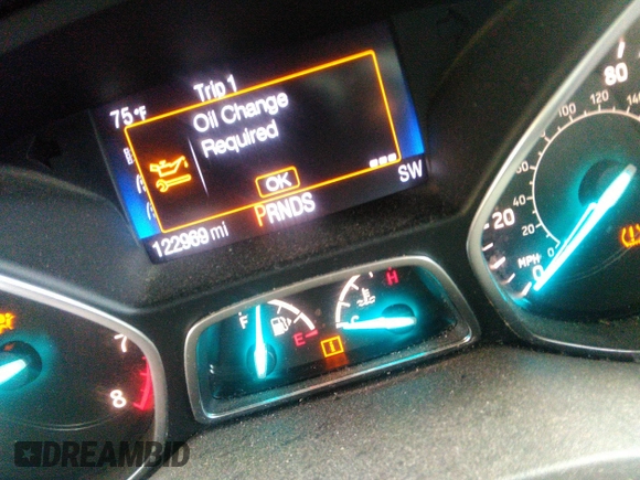 2017 Ford Escape S with VIN 1FMCU0F75HUE00805, listed as a IAAI auction lot 42529873 with 122,969 mi miles and . Bid and sale history available at DreamBid. Image 7.