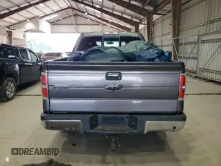 2013 Ford F-150 XL with VIN 1FTFW1ET6DFA01819, listed as a Copart auction lot 65373445 with Not provided miles and Clean title. Bid and sale history available at DreamBid. Image 6.