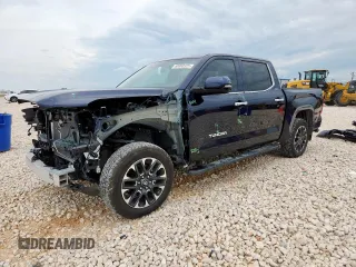 2025 Toyota Tundra Limited with VIN 5TFJA5DB1SX247872, listed as a Copart auction lot 60800325 with 20,065 mi miles and Salvage title. Bid and sale history available at DreamBid. Image 1.