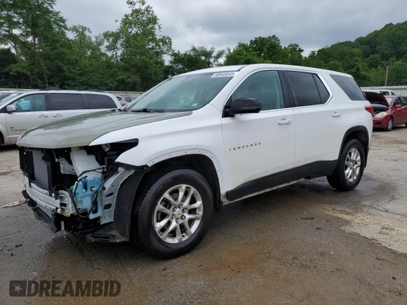 2020 Chevrolet Traverse LS with VIN 1GNEVFKW6LJ141687, listed as a Copart auction lot 58945845 with 112,249 mi miles and Salvage title. Bid and sale history available at DreamBid. Image 1.