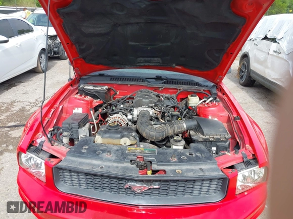 2005 Ford Mustang Deluxe with VIN 1ZVFT84N855183256, listed as a IAAI auction lot 42657956 with 166,398 mi miles and . Bid and sale history available at DreamBid. Image 10.