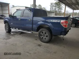 2011 Ford F-150 XLT with VIN 1FTFW1ET2BFB81443, listed as a Copart auction lot 46299165 with 250,287 mi miles and Salvage Title. Bid and sale history available at carsss.com. Image 2.