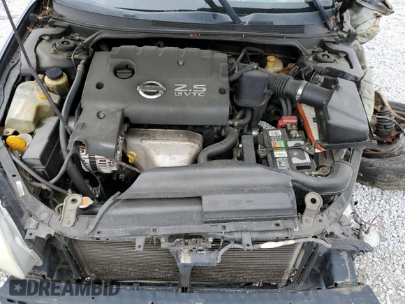 2003 Nissan Altima S with VIN 1N4AL11D63C118162, listed as a Copart auction lot 49410035 with 0 mi miles and Salvage Title. Bid and sale history available at carsss.com. Image 12.