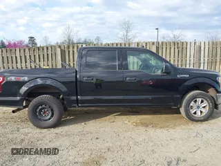 2019 Ford F-150 XL with VIN 1FTEW1E53KFA20399, listed as a IAAI auction lot 41846887 with 94,896 mi miles. Bid and sale history available at carsss.com. Image 13.