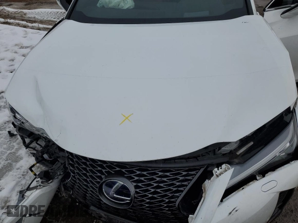 2021 Lexus UX with VIN JTHR9JBHXM2039208, listed as a Copart auction lot 86689314 with 0 mi miles and Clean Title. Bid and sale history available at carsss.com. Image 11.