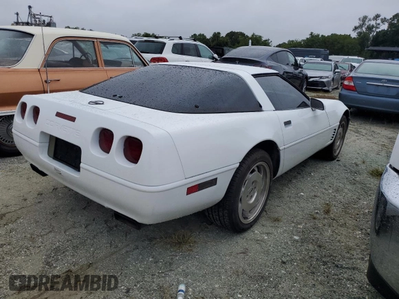 1995 Chevrolet Corvette z VIN 1G1YY22PXS5115866, wystawiony jako Copart lot #74983214 z przebiegiem Nie podano mil oraz Szkoda całkowita • Salvage title. Historia ofert i sprzedaży dostępna na DreamBid. Obrazek 3.