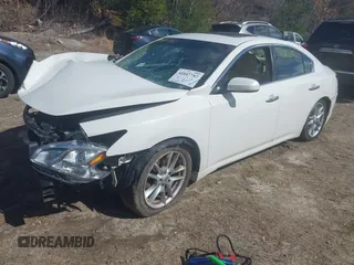 2010 Nissan Maxima SV with VIN 1N4AA5AP9AC822215, listed as a IAAI auction lot 41847782 with Not provided miles and . Bid and sale history available at DreamBid. Image 2.