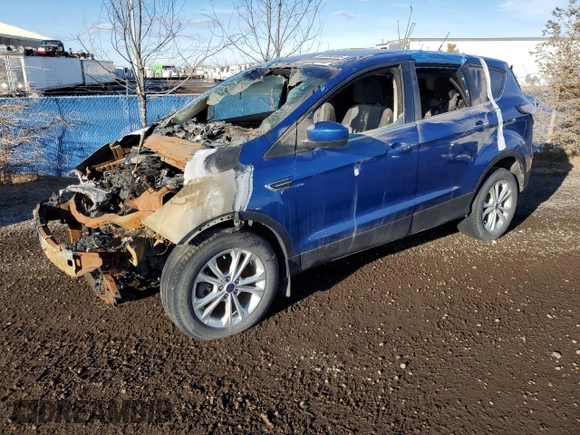 2017 Ford Escape SE with VIN 1FMCU9G93HUD30743, listed as a Copart auction lot 46584995 with Not Provided miles and Non Repairable. Bid and sale history available at carsss.com. Image 1.