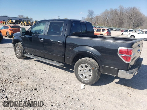 2010 Ford F-150 XL with VIN 1FTFW1CV6AFD29855, listed as a Copart auction lot 50310575 with 160,094 mi miles and Clean Title. Bid and sale history available at carsss.com. Image 2.