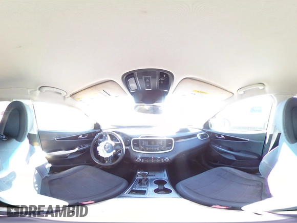 2016 Kia Sorento L with VIN 5XYPG4A37GG184318, listed as a Copart auction lot 87213954 with Not Provided miles and Salvage Title. Bid and sale history available at DreamBid. Image 14.