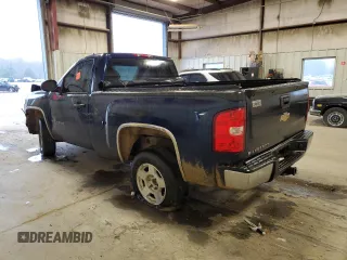 2009 Chevrolet Silverado 1500 Work Truck with VIN 1GCEC14X49Z204237, listed as a Copart auction lot 86647874 with Not Provided miles and Salvage Title. Bid and sale history available at DreamBid. Image 2.