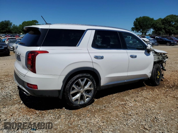 2020 Hyundai Palisade SEL with VIN KM8R34HE4LU110211, listed as a Copart auction lot 58011805 with 64,216 mi miles and Salvage title. Bid and sale history available at DreamBid. Image 3.