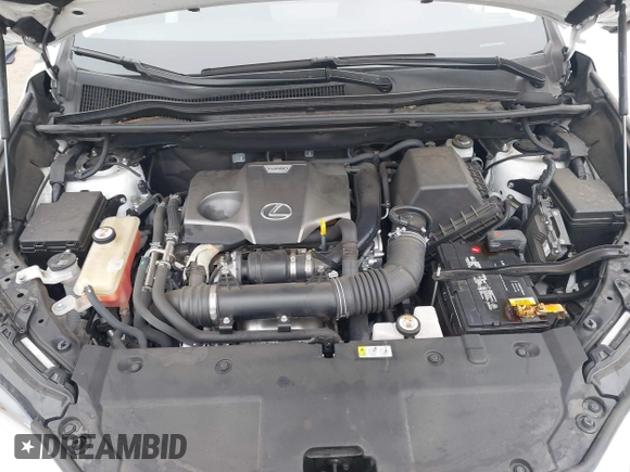 2020 Lexus NX 300 with VIN JTJGARBZ2L2160592, listed as a IAAI auction lot 42439214 with 44,617 mi miles and . Bid and sale history available at DreamBid. Image 10.