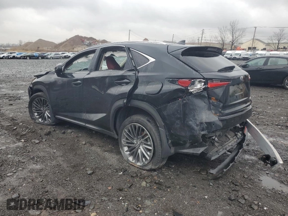 2021 Lexus NX 300 с VIN JTJDARDZ5M5031813, выставлен на аукционе Copart как лот 46487825 с пробегом 23 202 миль миль и Списание • Salvage title. История ставок и продаж доступна на DreamBid. Изображение 2.