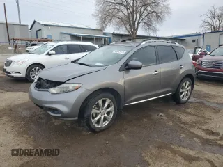 2013 Nissan Murano SL with VIN JN8AZ1MW6DW316539, listed as a Copart auction lot 45643175 with 113,163 mi miles and Salvage Title. Bid and sale history available at carsss.com. Image 1.