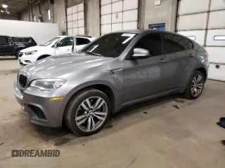 2013 BMW X6 M with VIN 5YMGZ0C5XDLL29831, listed as a Copart auction lot 54340225 with 117,503 mi miles and Salvage Title. Bid and sale history available at carsss.com. Image 1.