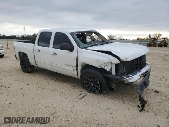2009 Chevrolet Silverado 1500 LT with VIN 2GCEC23C191139697, listed as a Copart auction lot 88074455 with 243,119 mi miles and Salvage Title. Bid and sale history available at carsss.com. Image 4.