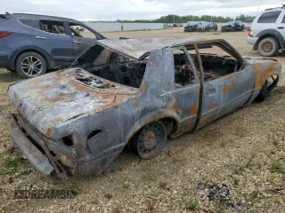 1989 Ford Mustang with VIN 1FABP40A8KF261788, listed as a Copart auction lot 59405875 with Not provided miles and Non repairable. Bid and sale history available at DreamBid. Image 3.