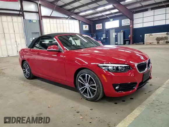 2018 BMW 2 Series 230i xDrive with VIN WBA2K1C53JVD41137, listed as a Copart auction lot 46621633 with 21,004 mi miles. Bid and sale history available at carsss.com. Image 11.