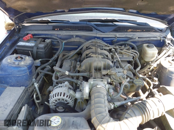 2007 Ford Mustang Deluxe with VIN 1ZVFT80N175341171, listed as a IAAI auction lot 42637888 with 122,279 mi miles and . Bid and sale history available at DreamBid. Image 10.