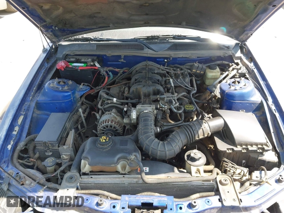 2005 Ford Mustang Deluxe with VIN 1ZVFT80N355260024, listed as a IAAI auction lot 42570131 with Not provided miles and . Bid and sale history available at DreamBid. Image 10.