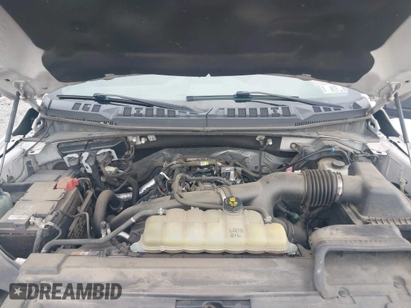 2019 Ford F-150 XL с VIN 1FTEW1EP3KFD24897, выставлен на аукционе IAAI как лот 42546399 с пробегом 137 717 миль миль и . История ставок и продаж доступна на DreamBid. Изображение 10.