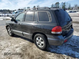 2006 Hyundai Santa Fe GLS with VIN KM8SC13D06U081230, listed as a Copart auction lot 42226215 with 138,328 mi miles and Clean Title. Bid and sale history available at carsss.com. Image 2.