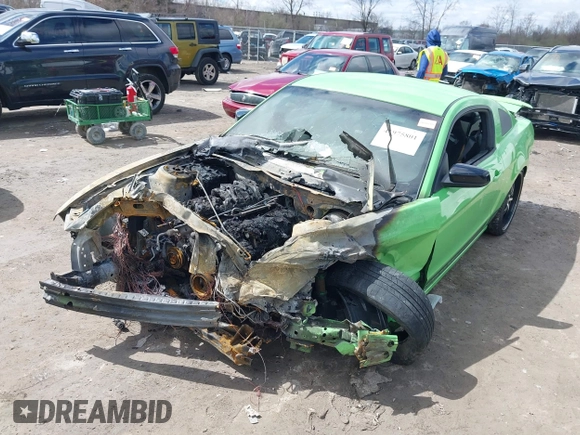 2013 Ford Mustang V6 with VIN 1ZVBP8AM1D5243147, listed as a IAAI auction lot 41975801 with Not provided miles and . Bid and sale history available at DreamBid. Image 2.