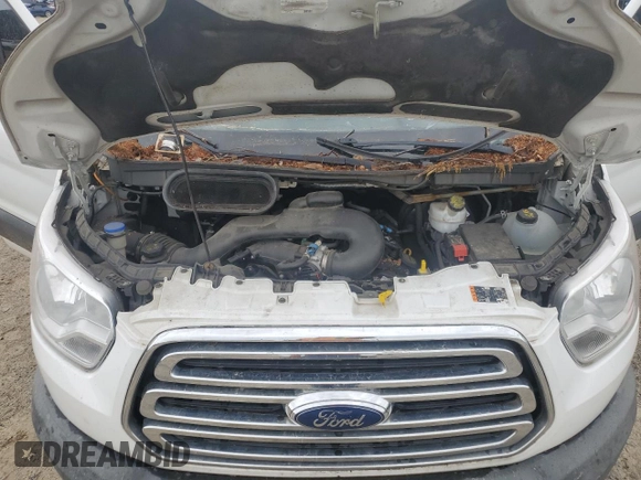 2017 Ford Transit с VIN 1FTYR1YM0HKA87159, выставлен на аукционе Copart как лот 60666785 с пробегом 226 284 миль миль и Списание • Salvage title. История ставок и продаж доступна на DreamBid. Изображение 12.