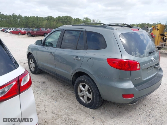 2007 Hyundai Santa Fe GLS with VIN 5NMSG13D67H006131, listed as a IAAI auction lot 41953084 with 239,519 mi miles. Bid and sale history available at carsss.com. Image 3.