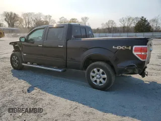 2013 Ford F-150 XL with VIN 1FTFW1ET3DKF02870, listed as a Copart auction lot 50087645 with 159,837 mi miles and Salvage Title. Bid and sale history available at carsss.com. Image 2.