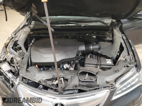 2015 Acura TLX Technology with VIN 19UUB2F53FA003635, listed as a Copart auction lot 48264175 with 124,818 mi miles and Salvage title. Bid and sale history available at DreamBid. Image 11.