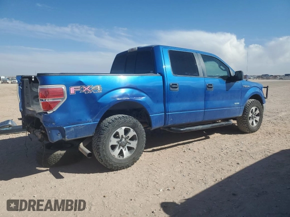 2014 Ford F-150 XL with VIN 1FTFW1ETXEKE45262, listed as a Copart auction lot 48806775 with 204,929 mi miles and Salvage Title. Bid and sale history available at carsss.com. Image 3.