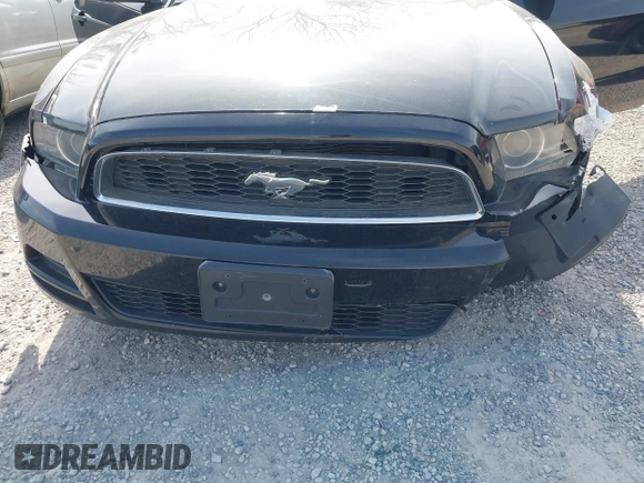 2013 Ford Mustang V6 with VIN 1ZVBP8AM7D5203672, listed as a IAAI auction lot 42104121 with 215,815 mi miles. Bid and sale history available at carsss.com. Image 12.