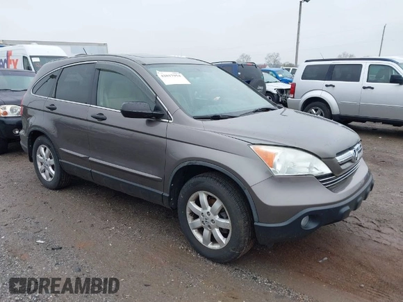 2009 Honda CR-V EX with VIN 5J6RE485X9L036252, listed as a IAAI auction lot 42017954 with 216,225 mi miles. Bid and sale history available at carsss.com. Image 1.