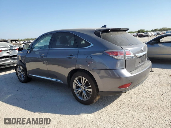 2014 Lexus RX 450h with VIN JTJZB1BA6E2413417, listed as a Copart auction lot 76313904 with Not provided miles and Salvage title. Bid and sale history available at DreamBid. Image 2.