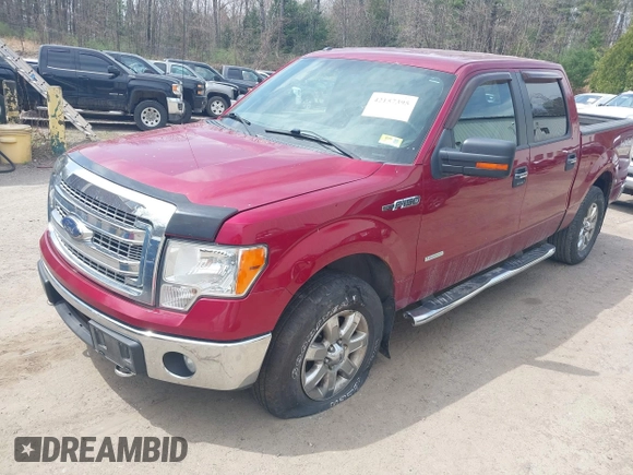 2013 Ford F-150 XL with VIN 1FTFW1ET7DFD87683, listed as a IAAI auction lot 42157395 with 185,649 mi miles. Bid and sale history available at carsss.com. Image 2.