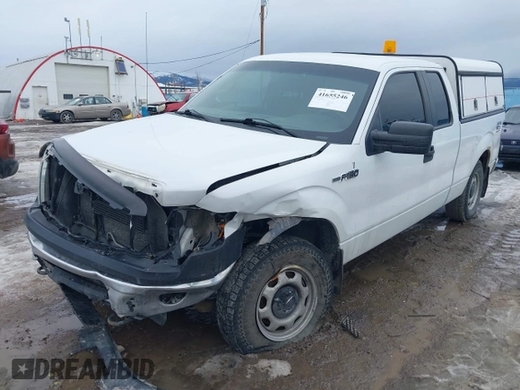 2010 Ford F-150 XL with VIN 1FTFX1EV0AKE32058, listed as a IAAI auction lot 41655246 with 185,671 mi miles and . Bid and sale history available at DreamBid. Image 6.